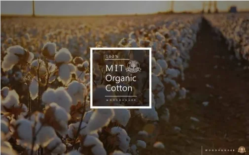 MIT Organic Cotton 有機棉花 鞋帶棉
